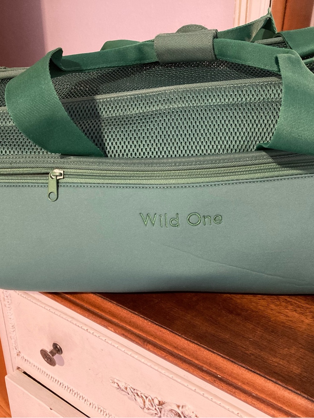 Wild One, small dog travel carrier